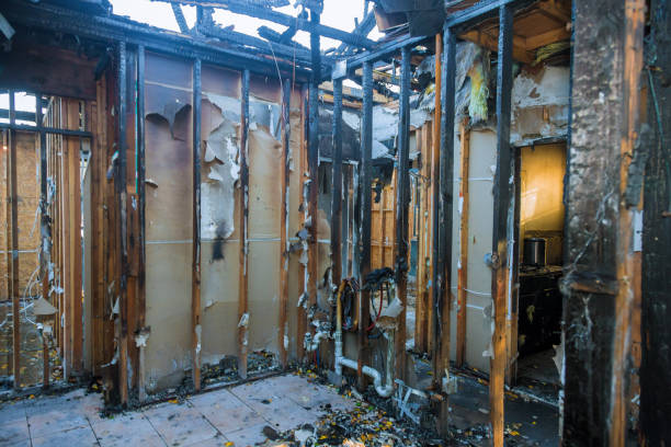 Professional Fire Damage Removal technician working in Wayne, OH